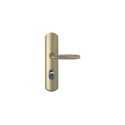 Vachette Florence A2P serrure set alu massif pour cylindre RADIAL NT+/N1