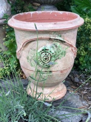 Vase Anduze Antica H.32 cm Castorama