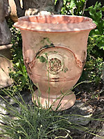 Vase Anduze Antica H.45 cm