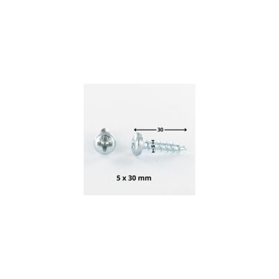VBA Vis bois agglo Tête ronde TR Pozi numéro 2 5X30 Acier zingué - 1 pièce
