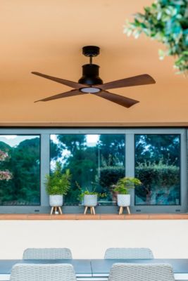 Ventilateur de plafond DC WINCHE M Marron