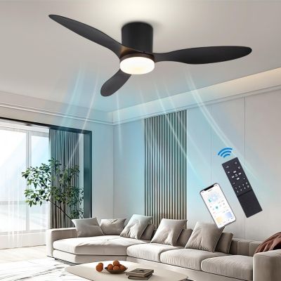 Ventilateur de plafond de 106 cm avec éclairage, télécommande/application, 6 vitesses de ventilation et fonction minuterie.