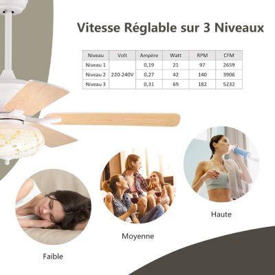 Ventilateur De Plafond Elysa 112 Cm Avec Lumière LED, Télécommande Et Pales Réversibles Pour Chambres 15-20 M²