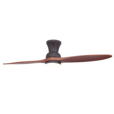 Ventilateur de plafond à deux pales et lumière