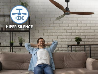 Ventilateur de plafond Réversible  Thermostat Wifi Moteur à courant continu Toits en pente Télécommande Hypersilence Mémoire Shopi