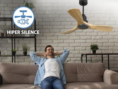 Ventilateur Plafond Eco Neo III Casafan 943222