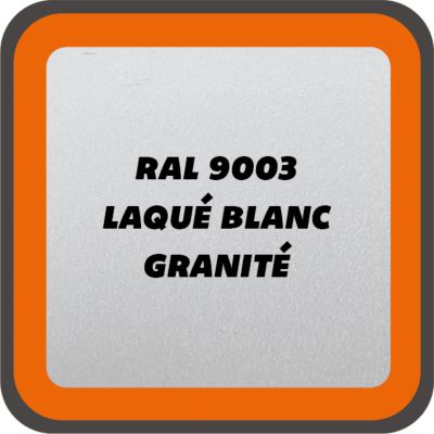 Verrière 6 verres Curly - L x H : 201 x 125 cm - Laqué blanc 9003 granité - verre Sahara inclus