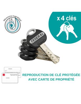 Verrou à bouton Federal pour porte d'entrée, cylindre 45mm, acier, 4 clés, époxy noir - THIRARD