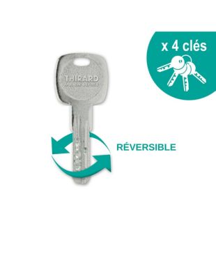 Verrou à bouton Trafic 6 pour porte d'entrée, cylindre 45mm, acier, 4 clés, époxy or - THIRARD