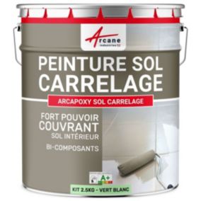 Vert Blanc - RAL 6019 - 2.5 kg (jusqu'à 12.5 m² en 2 couches) - ARCANE INDUSTRIES
