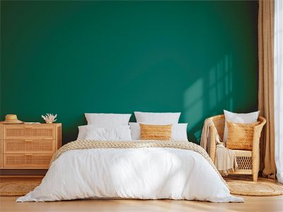 Vert Tropical Peinture interieur exterieur aspect mat Natura - Vert Tropical - 1L