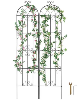 VEVOR Treillis jardin plantes grimpantes, 51x220 cm, 2 pièces. Métal antirouille.