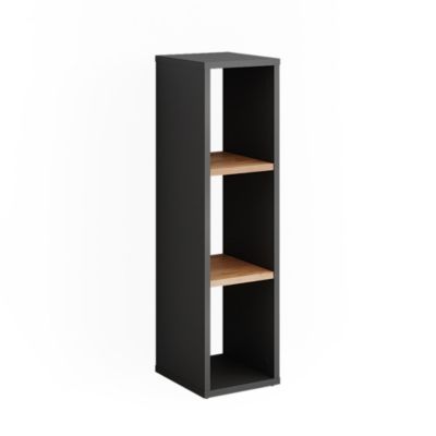 Vicco Armoire à chaussures Anthracite/chêne doré 21.6x80.1cm