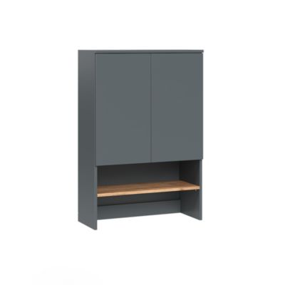 Vicco Armoire machine à laver Anthracite/chêne doré 68x100.4cm