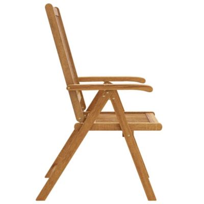 2 Chaises Pliantes Metteur En Scène VidaXL - Acier Et Tissu - Marron - Pour Jardin, Camping