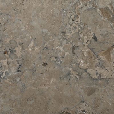 VIDAXL - Dessus de table en marbre gris - 40 cm diametre - 2 5 cm epaisseur - Traitement hydrofuge