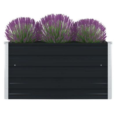 vidaXL Jardinière Bac à Plante Pot à Fleurs Bac à Fleurs Légumes Herbes Véranda Jardin Patio Extérieur 100x100x45 cm Acier 47024