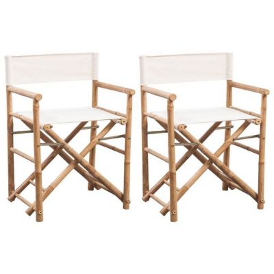 vidaXL Lot de 2 Chaise Pliable, Sièges avec Accoudoirs, Fauteuil avec Dossier, Chaises de Jardin Patio Terrasse Extérieur, 41895