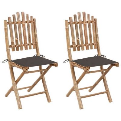 vidaXL Lot de 2 Chaises Pliables de Jardin avec Coussins, Sièges de Terrasse, Chaises de Salle à Manger, Meubles de Patio 3063995