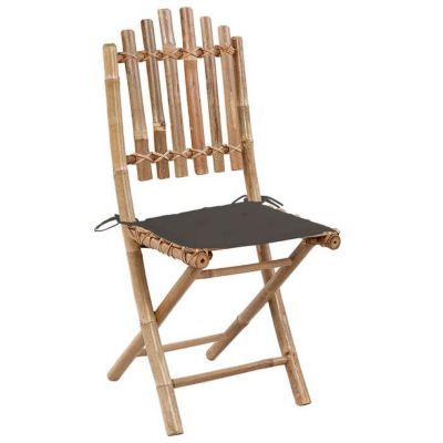 vidaXL Lot de 2 Chaises Pliables de Jardin avec Coussins, Sièges de Terrasse, Chaises de Salle à Manger, Meubles de Patio 3063995