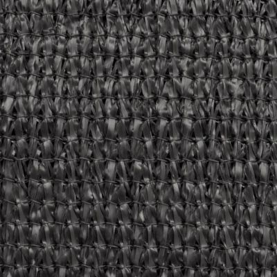 vidaXL Parasol en PEHD rectangulaire 2x4 m Anthracite