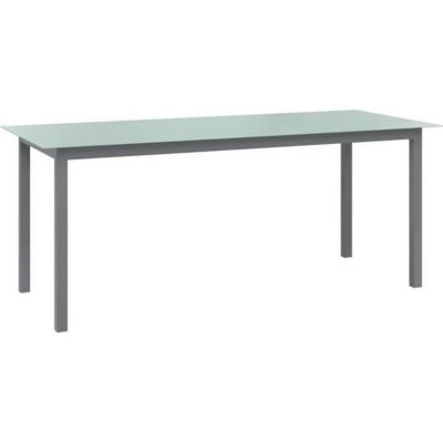 vidaXL Table de jardin Gris clair 190x90x74 cm Aluminium et verre