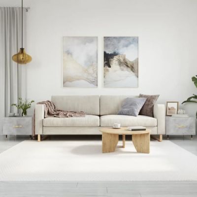 vidaXL Tables basses 2 pcs gris béton 50x50x40 cm bois d'ingénierie 829357