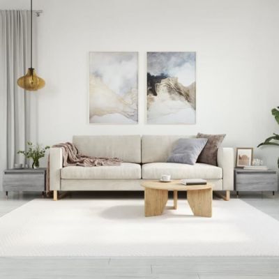 vidaXL Tables basses 2 pcs sonoma gris 50x46x35 cm bois d'ingénierie 830857