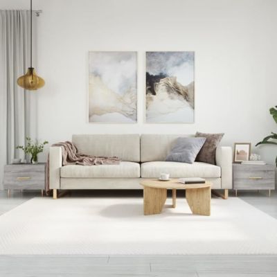 vidaXL Tables basses 2 pcs sonoma gris 50x50x40 cm bois d'ingénierie 829377