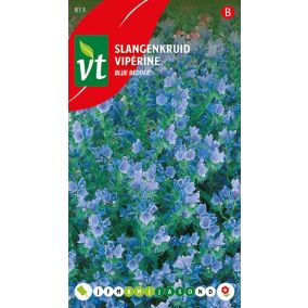 Viperine Blue Bedder - Ca. 1 gr
