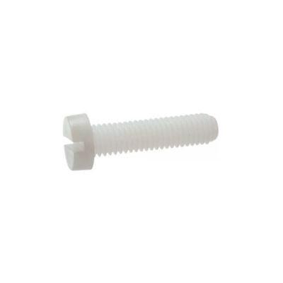 Vis métaux tête cylindrique fendue nylon 6.6 DIN 84 5X30 boîte de 200 - ACTON - 825005X30