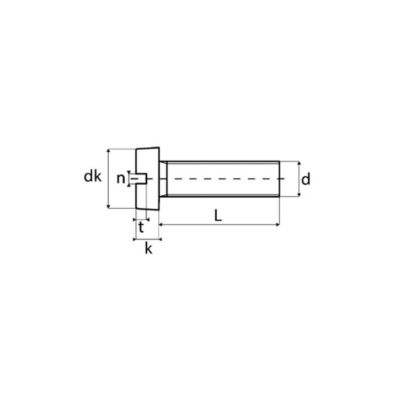 Vis métaux tête cylindrique fendue nylon 6.6 DIN 84 5X30 boîte de 200 - ACTON - 825005X30