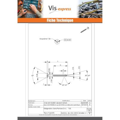 Vis Penture 7X50 Filetage partiel TORX T30 Acier zingué - 200 pièces ...