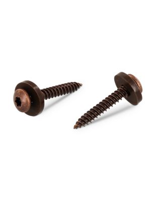 Vis tôle Tête cylindrique TC TORX T15 + Rondelle Nylon 3.9X19 Inox A2 Marron - 10 pièces