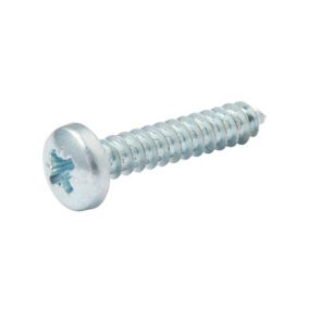 Vis zinguée autoperceuses à tête cylindrique, 4,8x25 mm - 25 pièces