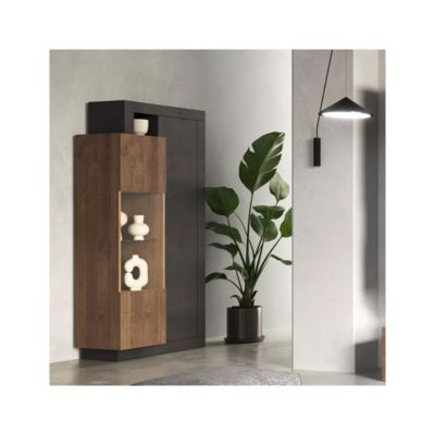 Vitrine 2 portes collection DOMI. Coloris gris anthracite et chêne foncé