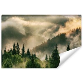 Vlieseline Papier Peint Photo FORÊT Brouillard Nature 3D Pour Chambre 360cm x 240cm