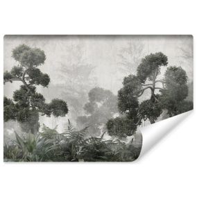 Vlieseline Papier Peint Photo Pour Salon ARBRES Plantes Béton Rétro 360cm x 240cm