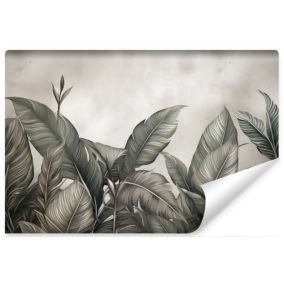 Vlieseline Papier Peint Photo Pour Salon PLANTES Feuilles Tropicales 300cm x 210cm