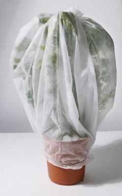 VILMORIN Voile D'Hivernage Blanc 2m X 10m - Protection Plantes Contre Gel Et Froid
