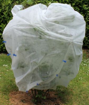 Voile d'hivernage polyéthylène 30g Jany 2 x 10 m
