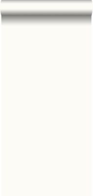 Wallpro revêtement de rénovation 130 grammes, lisse blanc - 0.53 x 25 m - PRO702