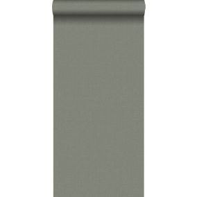 Walls4You papier peint uni gris vert - 0,53 x 10,05 m - 935343