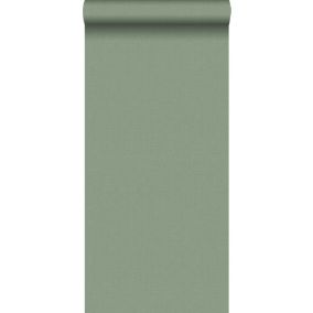 Walls4You papier peint uni vert - 0,53 x 10,05 m - 935342