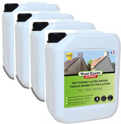 WashGuard Express 4x5L 20L Nettoyant extérieur désincrustant ultra rapide jusqu'à 120m²