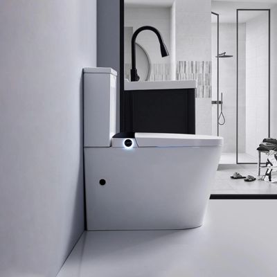 WC JAPONAIS  EN CERAMIQUE - T5  WALL HUNG SUR PIEDS
