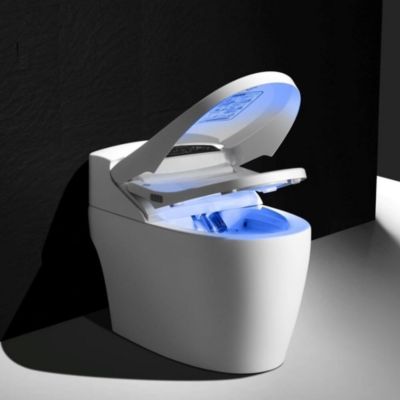 WC Japonais Monobloc à poser au sol TopToilet Luxe Platinium 2 Plus