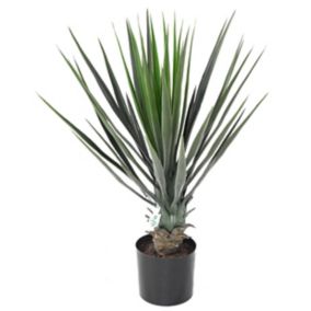Yucca Rostrata artificiel h.60 cm