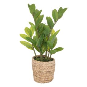 Zamioculcas artificiel avec pot naturel - Hauteur 41 cm - Vert