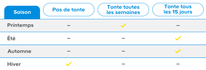 À quelle fréquence tondre une pelouse ?